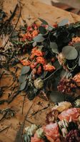 The same photo cut as a 1080×1920 story